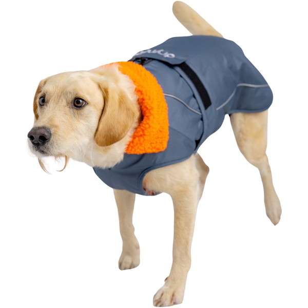 2026 Dryrobe Dog Coat V3DRDC - Dark Grey / Orange